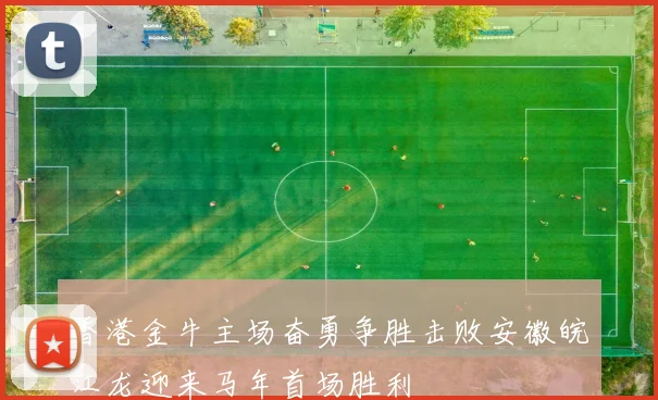 香港金牛主场奋勇争胜击败安徽皖江龙迎来马年首场胜利