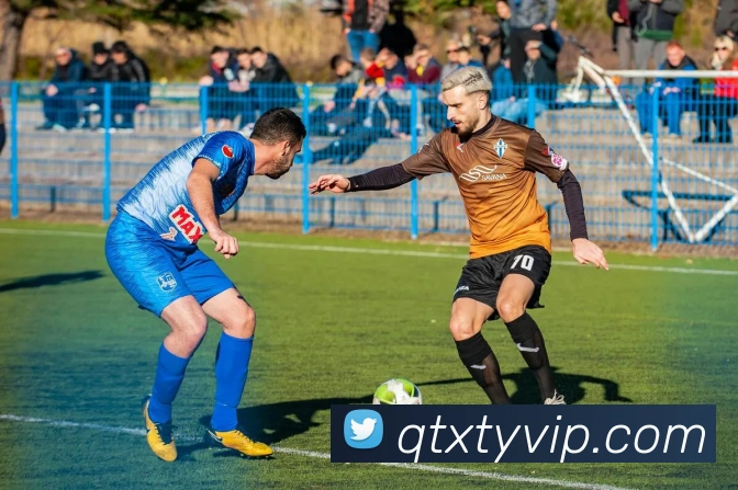 球天下体育APP 封面图